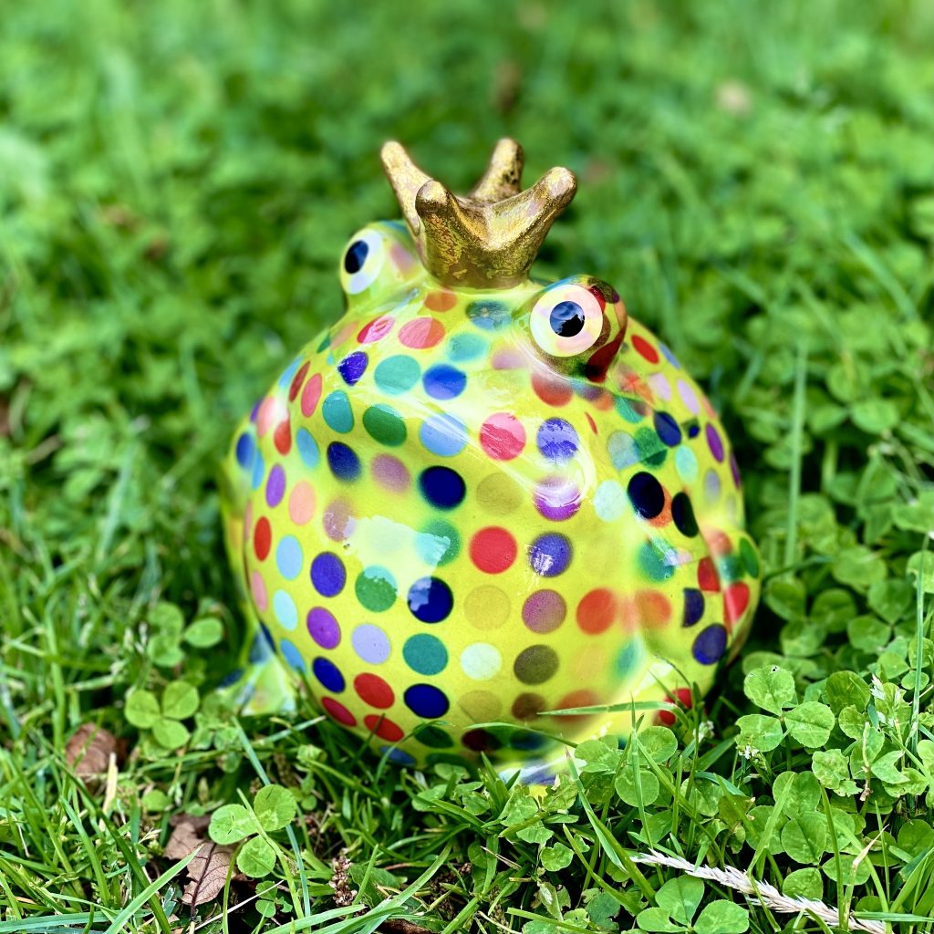 Sparbössa groda från Pomme-padou