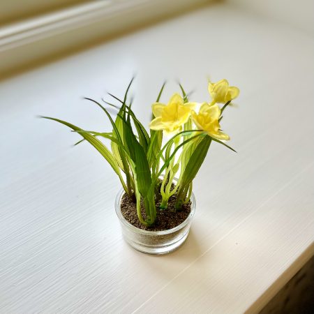 Narciss mini GUL 10 cm