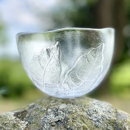 Skål "Party" Kosta Göran Wärff