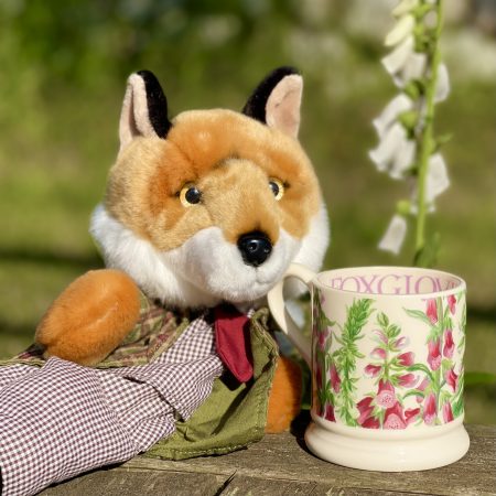 Mugg Emma Bridgewater Foxgloves 2:a sortering