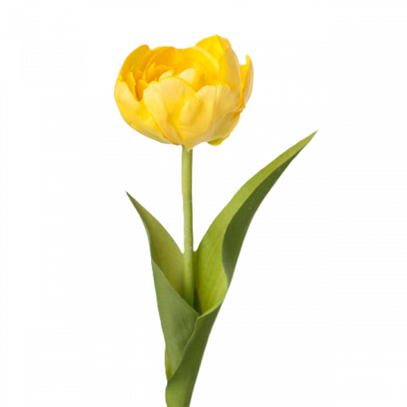Tulpan gul 36 cm