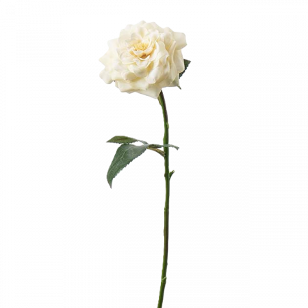 Ros real touch 41 cm