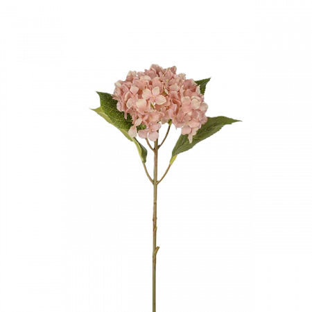 Hortensia rosa 40 cm