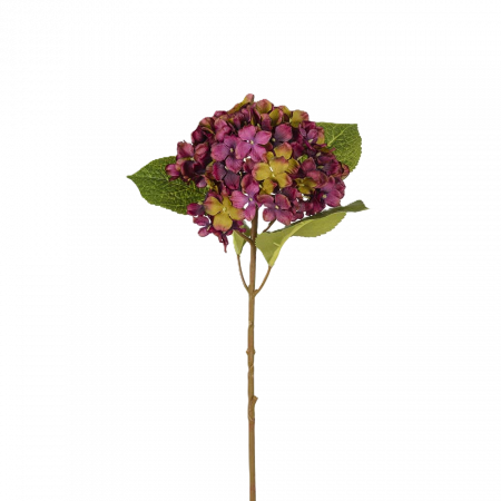 Hortensia lila 40 cm