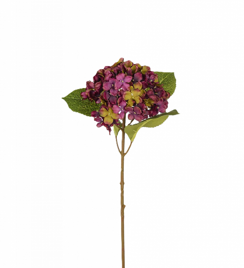 Hortensia lila 40 cm