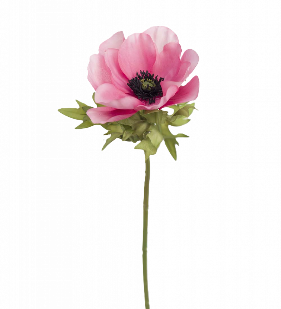 Anemon rosa 43 cm