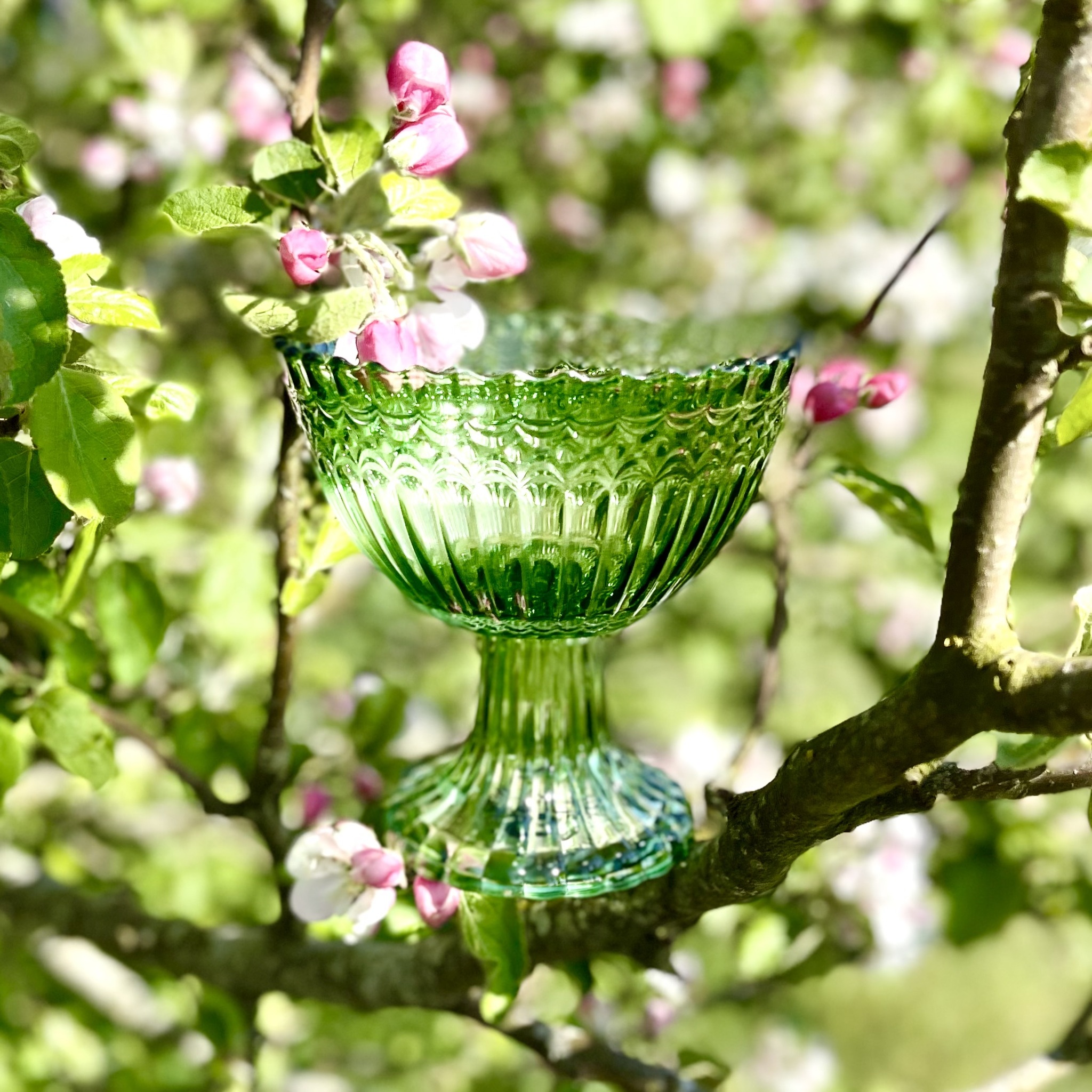 Grön skål av glas - Bild 2