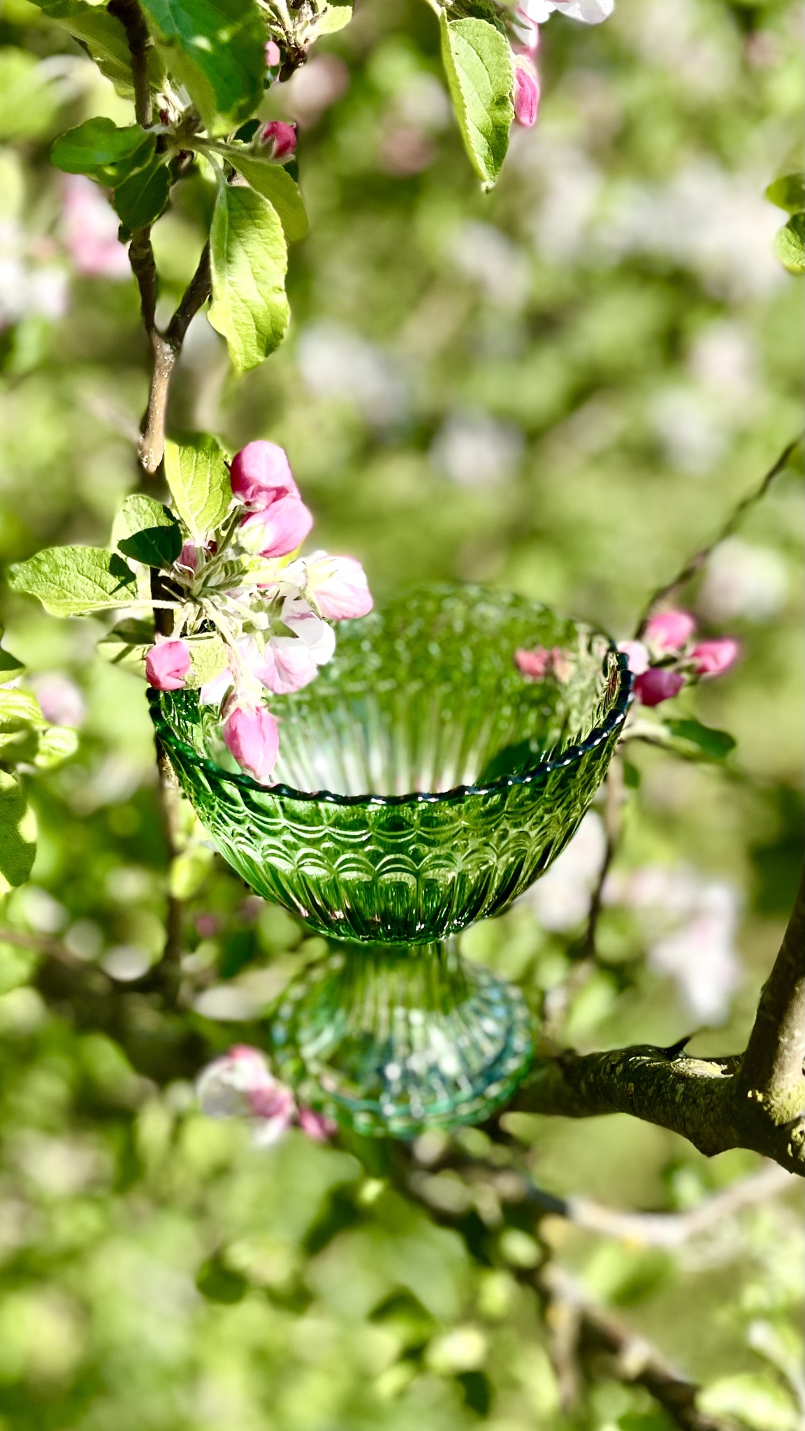 Grön skål av glas - Bild 4